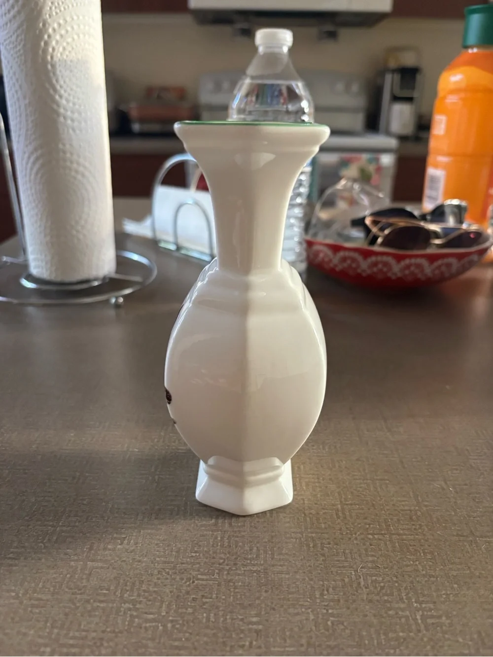 White Ceramic Bird Motif Accent Vase with Green Rim